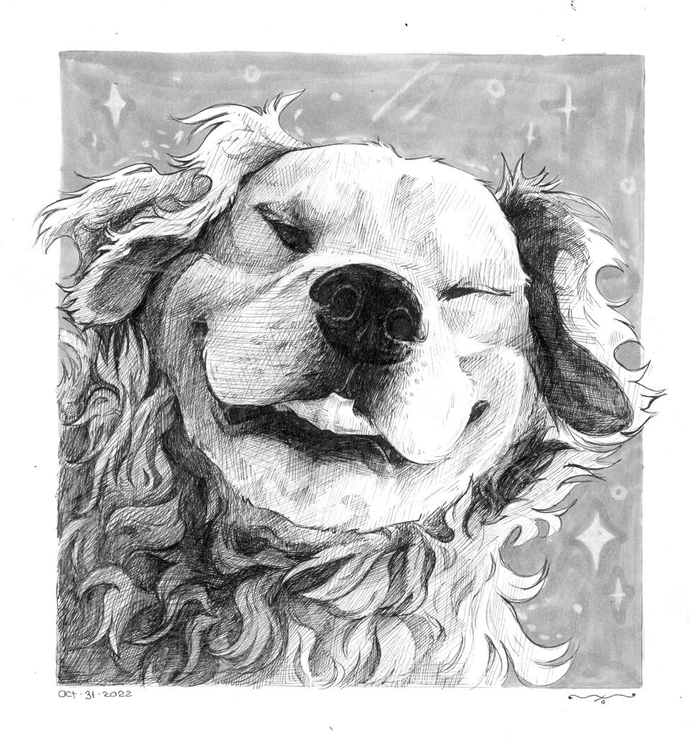 Pen and Ink