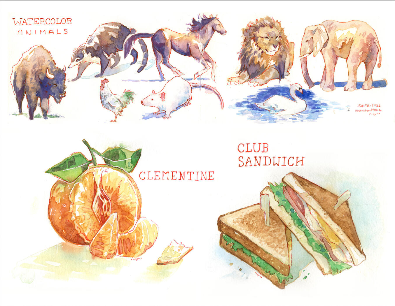 Watercolor and Micron