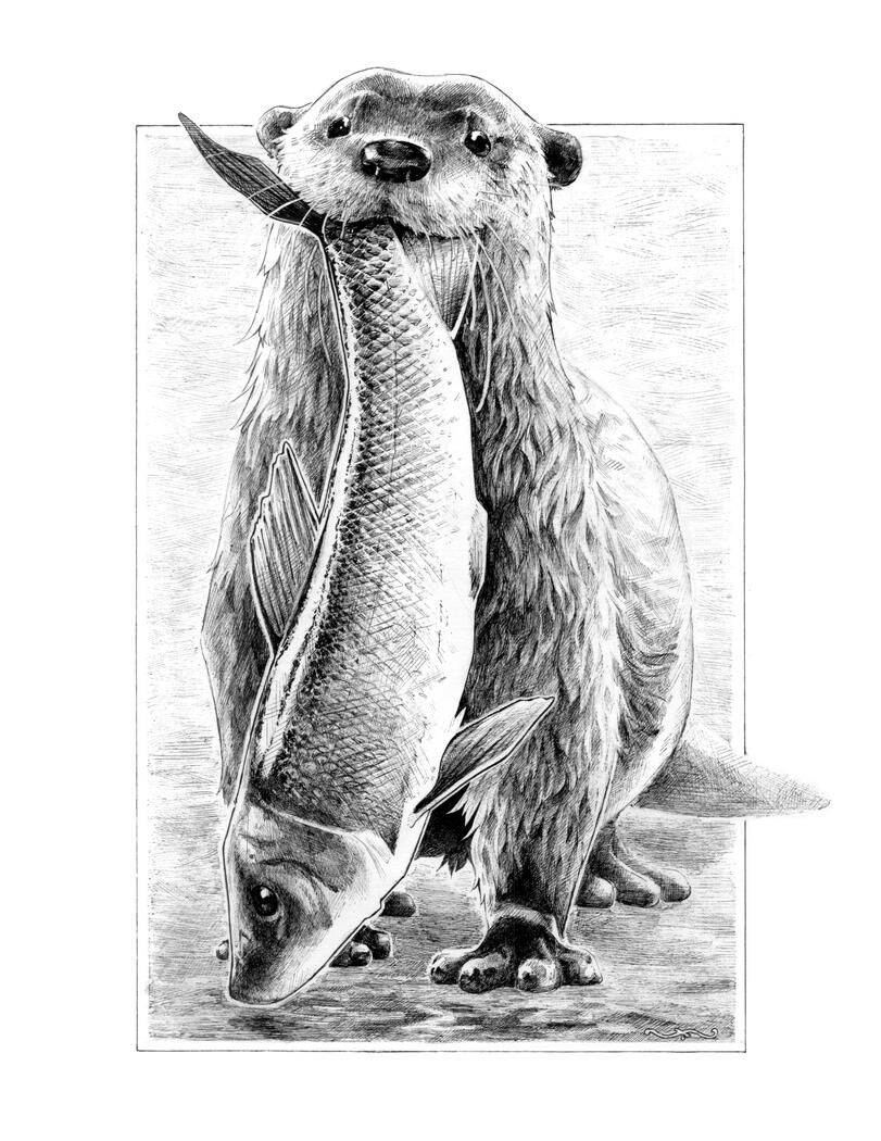 Pen and Ink