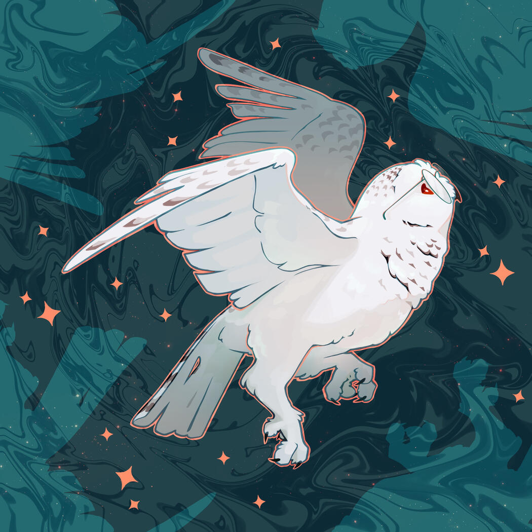 Opal Vision Opal