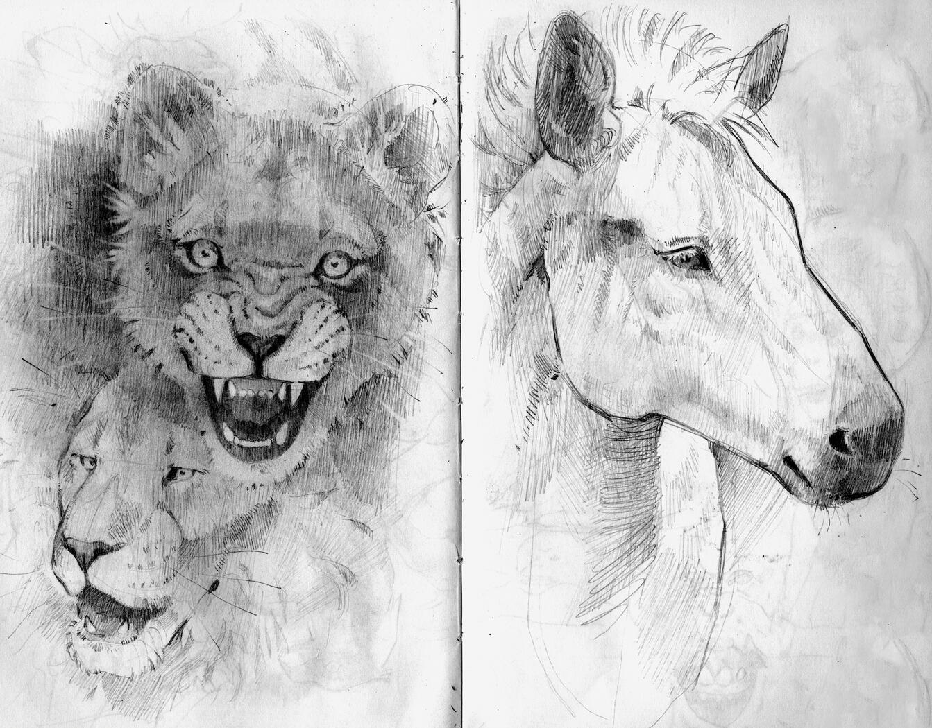 Spetchbook Spread