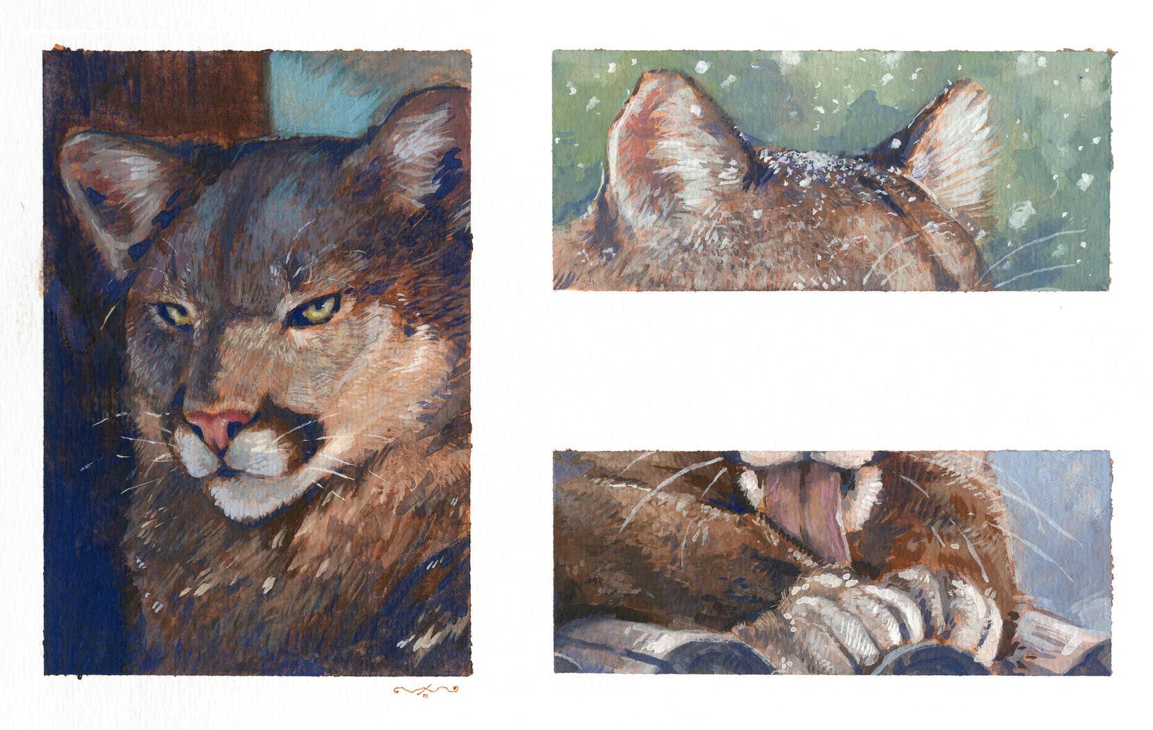 Gouache Studies