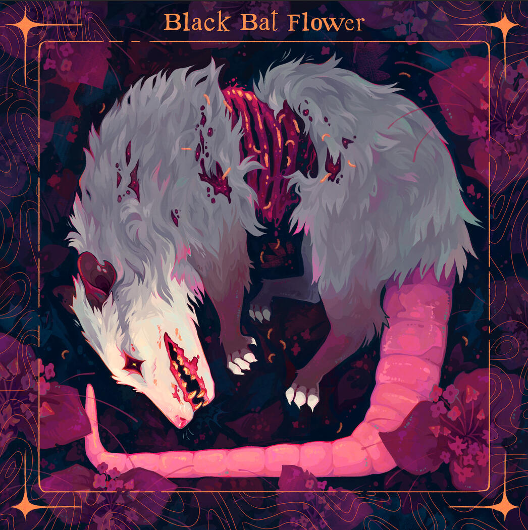 Black Bat Flower