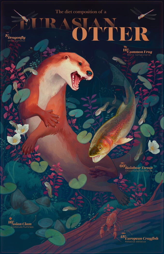 Diet Composition of a Eurasian Otter